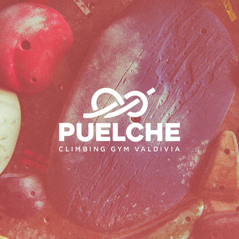 Global Climbing Day - Puelche image}